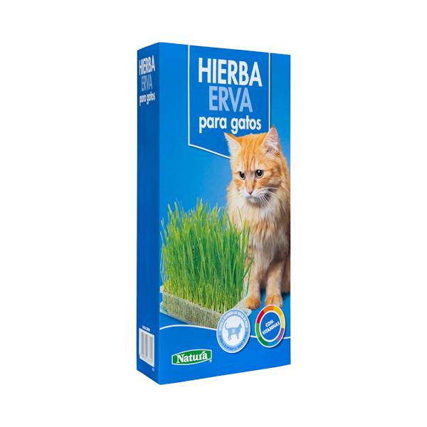Hierba para gatos Natura mercadona