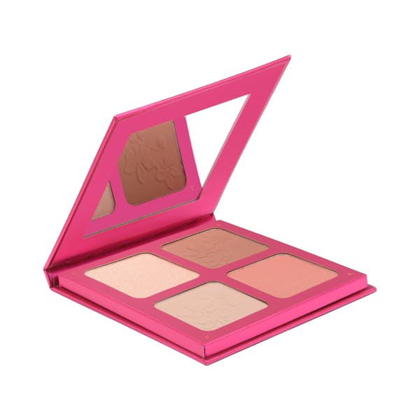 Paleta rostro completo Éclat Deliplus mercadona